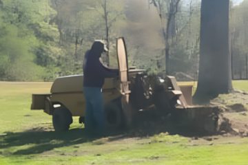 Stump grinding